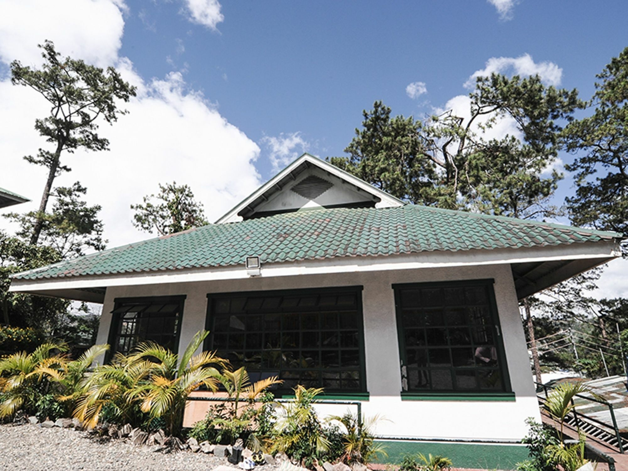 Pine Breeze Cottages Baguio City Eksteriør billede