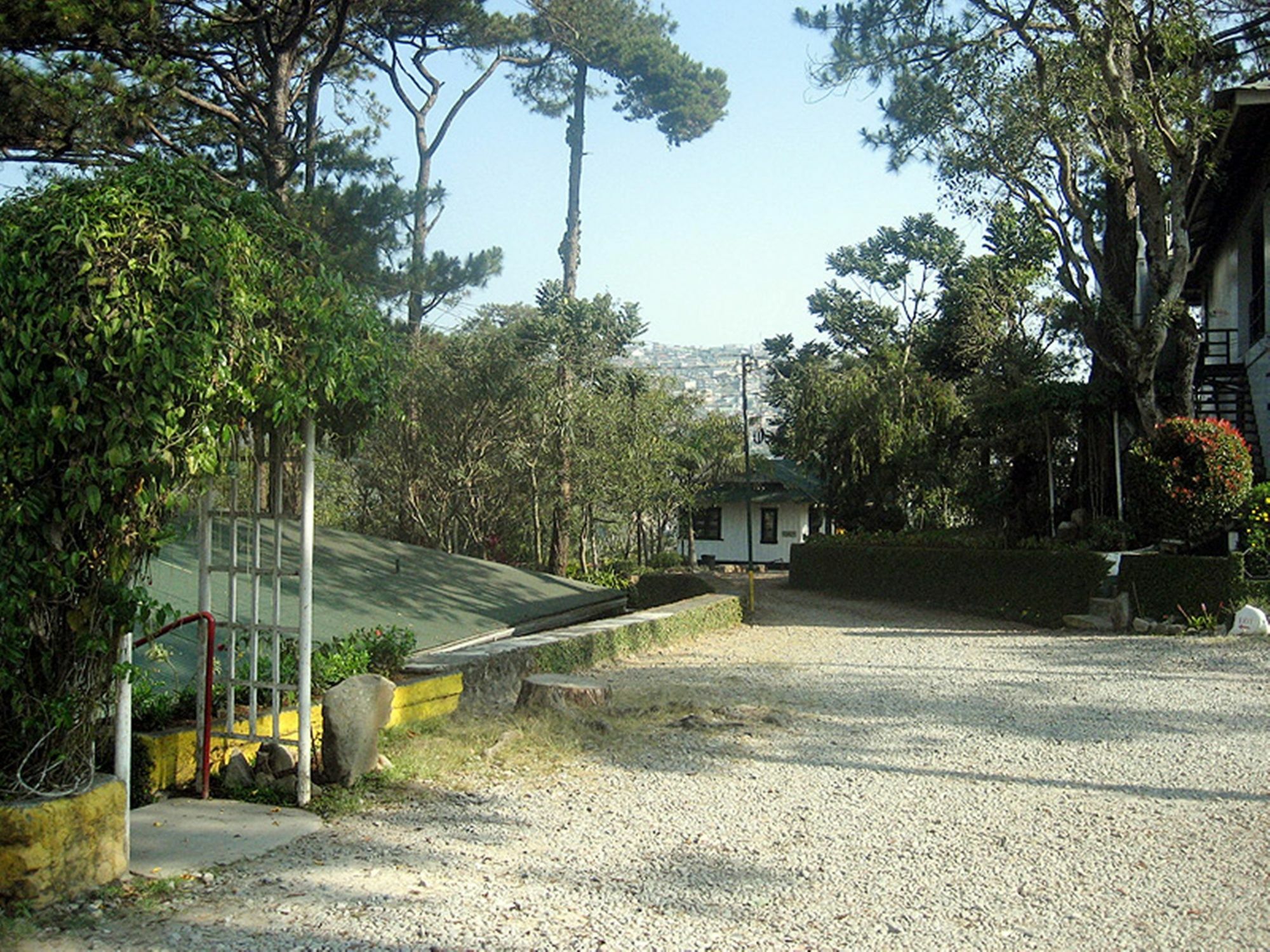 Pine Breeze Cottages Baguio City Eksteriør billede